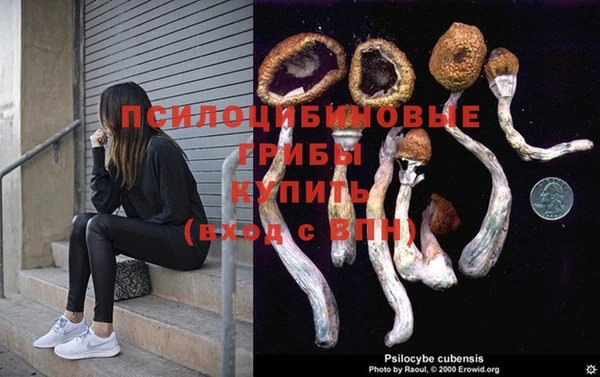 бутират Алексеевка