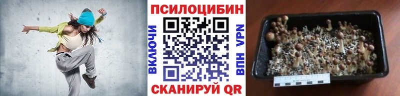 Псилоцибиновые грибы GOLDEN TEACHER  Первоуральск 